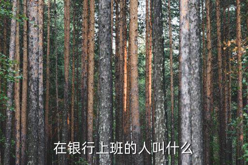 金融上班叫什么，在銀行上班的人叫什么