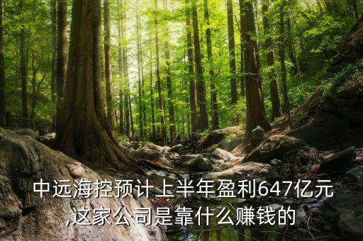  中遠(yuǎn)?？仡A(yù)計(jì)上半年盈利647億元,這家公司是靠什么賺錢(qián)的