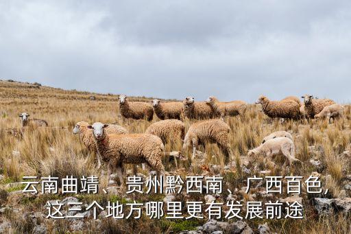 云南曲靖、 貴州黔西南、廣西百色,這三個地方哪里更有發(fā)展前途