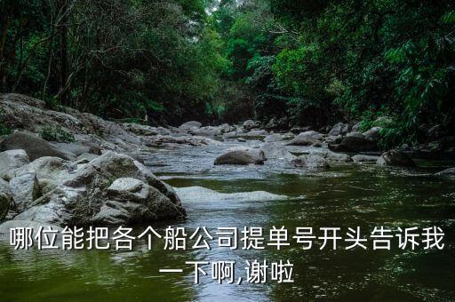哪位能把各個(gè)船公司提單號(hào)開(kāi)頭告訴我一下啊,謝啦