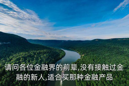 請問各位金融界的前輩,沒有接觸過金融的新人,適合買那種金融產品