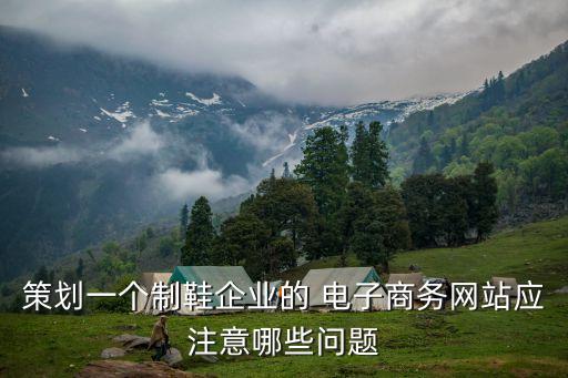 策劃一個制鞋企業(yè)的 電子商務網(wǎng)站應注意哪些問題