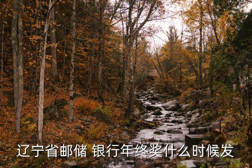 銀行員工年底獎金,農商銀行年底獎金有多少