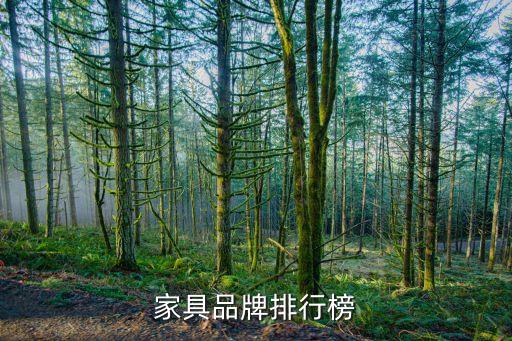 美克美家上?；春Ｂ返?上海美克美家哪個最大