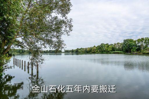 上?；瘜W(xué)工業(yè)區(qū)總體規(guī)劃,洪江市工業(yè)區(qū)總體規(guī)劃