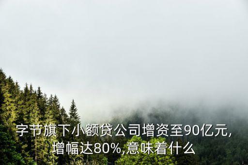 中國電商小貸累計(jì)貸款規(guī)模