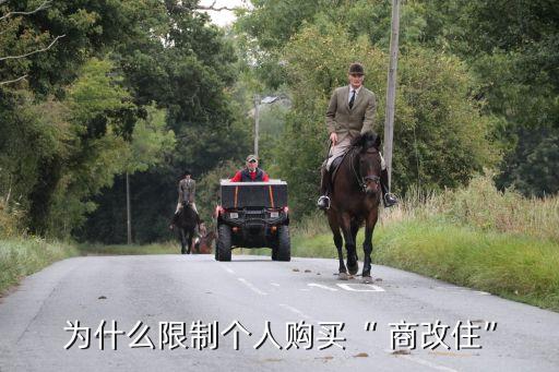 為什么限制個(gè)人購(gòu)買(mǎi)“ 商改住”