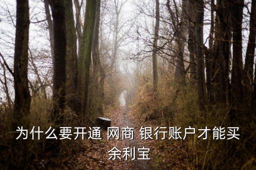 為什么要開(kāi)通 網(wǎng)商 銀行賬戶才能買(mǎi) 余利寶