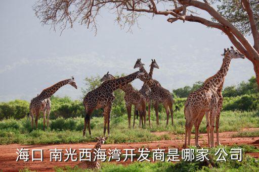 ?？?南光西海灣開發(fā)商是哪家 公司