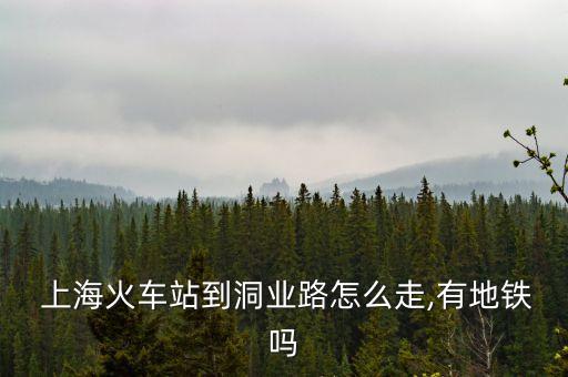  上?；疖?chē)站到洞業(yè)路怎么走,有地鐵嗎