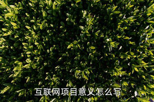  互聯(lián)網項目意義怎么寫