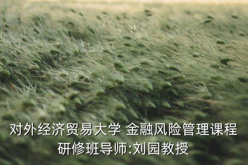 對外經(jīng)濟貿(mào)易大學(xué) 金融風(fēng)險管理課程研修班導(dǎo)師:劉園教授