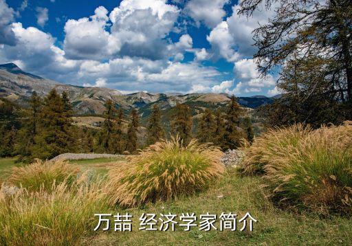 萬(wàn)喆 經(jīng)濟(jì)學(xué)家簡(jiǎn)介