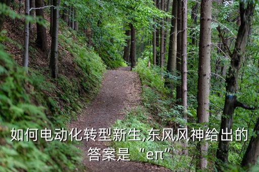 東風(fēng)汽車(chē)公司新能源