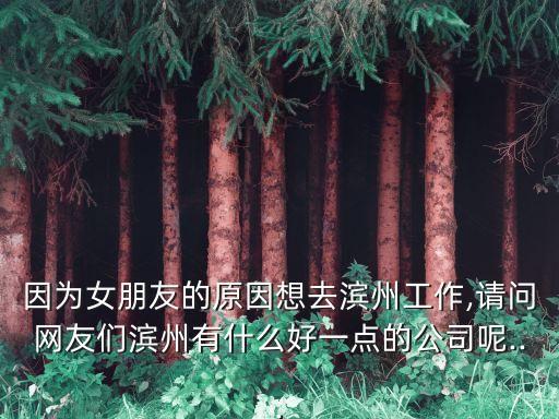 因?yàn)榕笥训脑蛳肴I州工作,請問網(wǎng)友們?yōu)I州有什么好一點(diǎn)的公司呢...