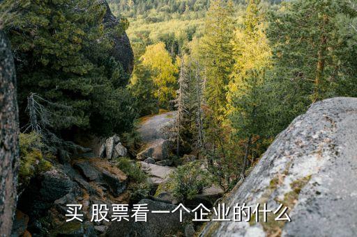 買(mǎi) 股票看一個(gè)企業(yè)的什么