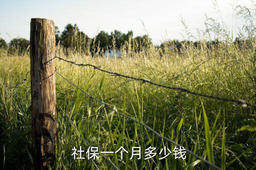 北京最低社?；鶖?shù)2016