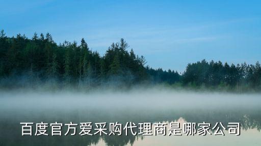 百度官方愛采購(gòu)代理商是哪家公司