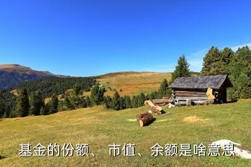  基金的份額、 市值、余額是啥意思