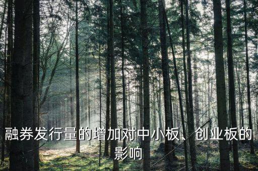融券發(fā)行量的增加對(duì)中小板、創(chuàng)業(yè)板的影響