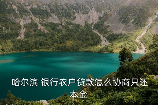  哈爾濱 銀行農(nóng)戶(hù)貸款怎么協(xié)商只還本金