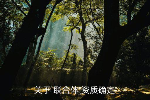 株洲聯(lián)合城市建設有限責任公司注冊資質