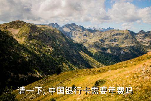 請一下, 中國銀行卡需要年費(fèi)嗎