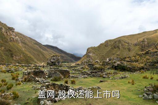蓋網 股權還能上市嗎