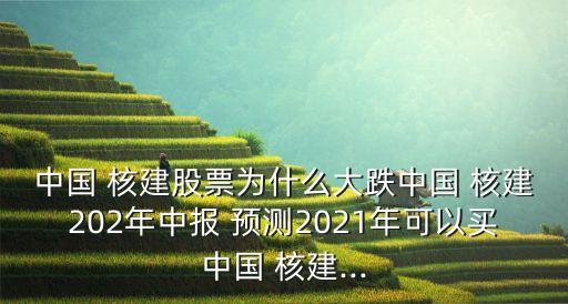 中國 核建股票為什么大跌中國 核建202年中報(bào) 預(yù)測2021年可以買中國 核建...
