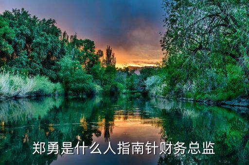 德勤中國(guó)高級(jí)顧問,德勤高級(jí)顧問一年有40萬(wàn)嗎