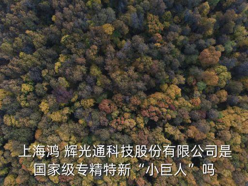  上海鴻 輝光通科技股份有限公司是國(guó)家級(jí)專(zhuān)精特新“小巨人”嗎