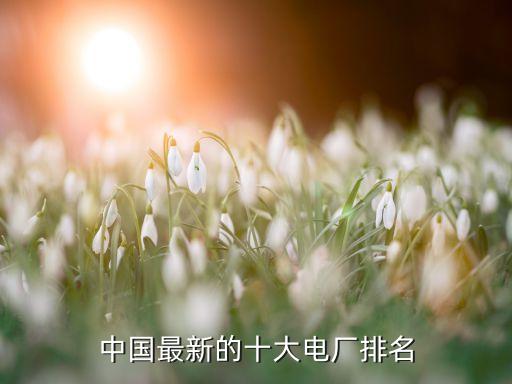 ?；涬娏ν顿Y