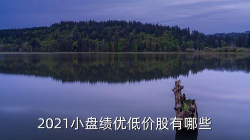 2021小盤績(jī)優(yōu)低價(jià)股有哪些