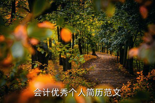 會計(jì)優(yōu)秀個人簡歷范文
