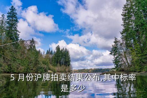 5 月份滬牌拍賣(mài)結(jié)果公布,其中標(biāo)率是多少