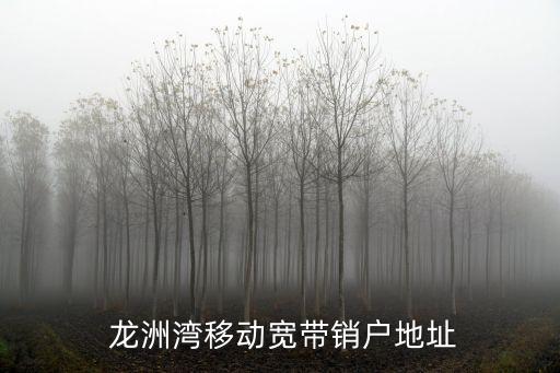  龍洲灣移動(dòng)寬帶銷(xiāo)戶(hù)地址