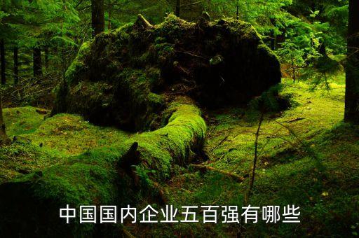 中國國內(nèi)企業(yè)五百強(qiáng)有哪些