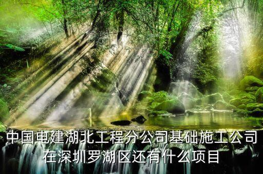中國電建湖北工程分公司基礎(chǔ)施工公司在深圳羅湖區(qū)還有什么項目