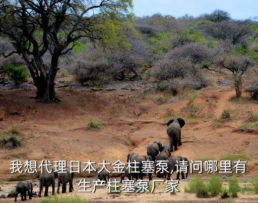 我想代理日本大金柱塞泵,請(qǐng)問哪里有生產(chǎn)柱塞泵廠家