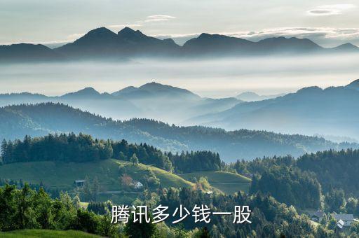  騰訊多少錢(qián)一股