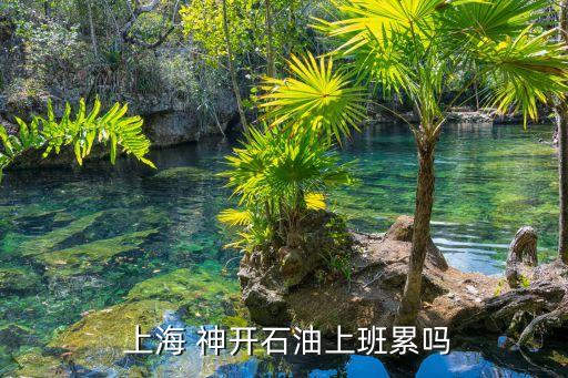 上海神開(kāi)科技工程有限公司,上海盛開(kāi)建設(shè)工程有限公司