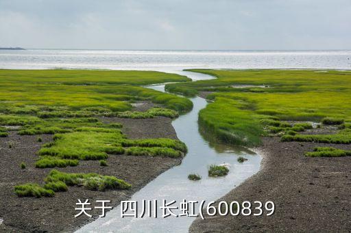 關(guān)于 四川長(zhǎng)虹(600839
