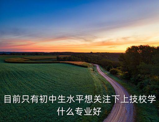 目前只有初中生水平想關注下上技校學什么專業(yè)好