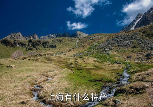  上海有什么特產