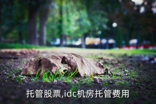 機(jī)房托管股票,idc機(jī)房托管費用