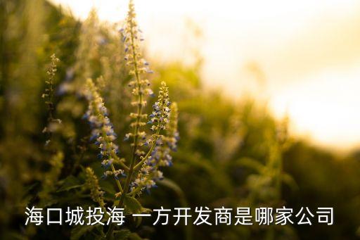 ?？诔峭逗?一方開發(fā)商是哪家公司
