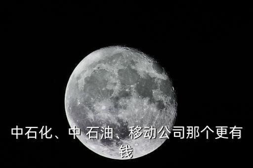 中石化、中 石油、移動公司那個更有錢