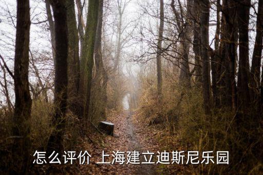 怎么評價(jià) 上海建立迪斯尼樂園