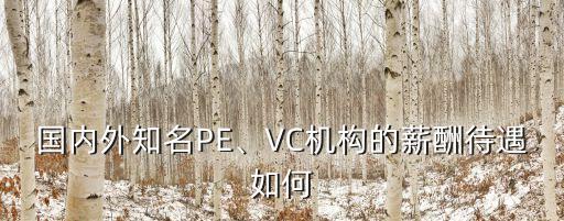 國內(nèi)外知名PE、VC機構(gòu)的薪酬待遇如何
