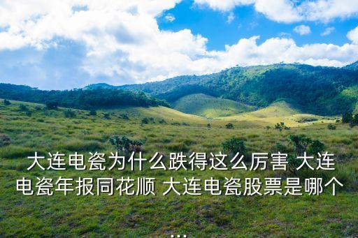 大連昊?？萍脊煞萦邢薰?大連華陽新材料科技股份有限公司